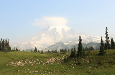 Screenshot 2025-11-18 at 3.28.04 PM.png