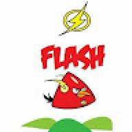 FLASH80247