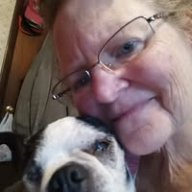 Darlene