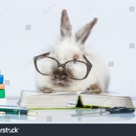 Bunzel