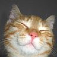 PattieJean