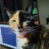 catskidsandme