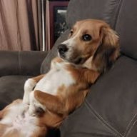 Karen689
