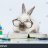 Bunzel